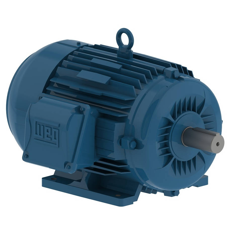 01018ET3E215T-W22 WEG 10HP Severe Duty Electric Motor, 1800RPM