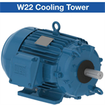 WEG’s cooling tower motors are designed for operation in 100% ...