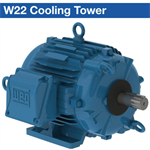 WEG’s cooling tower motors are designed for operation in 100% ...