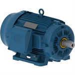 02518ST3HIE284T-W22 WEG 25HP Severe Duty Electric Motor, 1800RPM