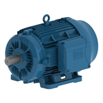 00712ET3Y160M-W22 WEG 10HP/7.5kW IEC TRU-Metric Electric Motor, 1200RPM