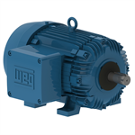 02036XT3E256T WEG 20HP Explosion Proof Electric Motor, 3600RPM