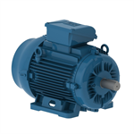 E02236ET3YAX180MF3-W WEG 22 kW(30HP) Electric Motor, 3000RPM