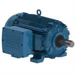 30018XT3G449T WEG 300HP Explosion Proof Electric Motor, 1800RPM