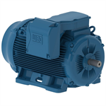 30036ET3G449TS-W22 WEG 300HP General Purpose Electric Motor, 3600RPM