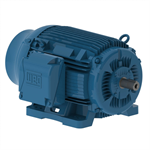 06012ET3H404T-W22 WEG 60HP Severe Duty Electric Motor, 1200RPM