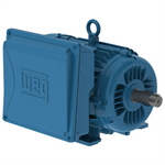 00536ES1B184T-W22 WEG 5HP Electric Motor, 3600RPM