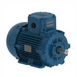 E00412XP3YAX132MF3-W WEG 4 kW(5.5HP) Electric Motor, 1000RPM