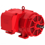 15036OP3GFP405TS-W40, WEG, 150HP, Fire Pump Electric Motor, 3600RPM