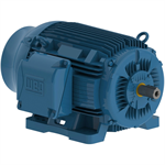 10018ST3HIE405T-W22 WEG 100HP Severe Duty Electric Motor, 1800RPM