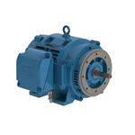 10036OT3G365JM-W40 WEG 100HP JM Close-Coupled Pump Electric Motor, 3600RPM