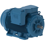 30009ET3G449T-W22 WEG 300HP General Purpose Electric Motor, 900RPM