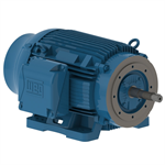 10036ET3G405JP-W22 WEG 100HP JP Close Coupled Pump Electric Motor, 3600RPM