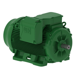 25018EG3G449T-W22 WEG 250HP Electric Motor, 1800RPM