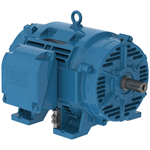 30036OT3G445TS-W40 WEG 300HP, General Purpose Electric Motor, 3600RPM