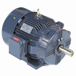 GT1031A Marathon 30HP Globetrotter Electric Motor, 1800RPM