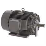 NP0504G Teco-Westinghouse 50HP Cast Iron Electric Motor, 1800 RPM