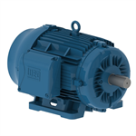 03036ET3E286TS-W22 WEG 30HP General Purpose Electric Motor, 3600RPM