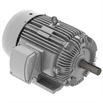 EP05045 Teco-Westinghous 50 HP Cast Iron Electric Motor, 1800 RPM