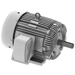 EP0308 Teco-Westinghouse 30 HP Cast Iron Electric Motor, 900 RPM