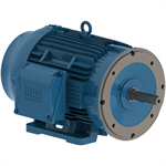 05018ET3E326JM-W22 WEG 50HP JM Close Coupled Pump Electric Motor, 1800RPM