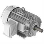 EP1258R Teco-Westinghouse 125HP Cast Iron Electric Motor, 900 RPM