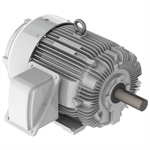 EP12545R Teco-Westinghouse 125HP Cast Iron Electric Motor, 1800 RPM