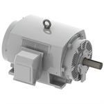 DHP3004 Teco-Westinghouse 300HP Cast Iron Electric Motor, 1800 RPM