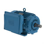 01036ES1E215T-W22 WEG 10HP Electric Motor, 3600RPM