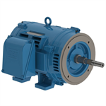 06036OT3E326JP-W40 WEG 60HP JP Close-Coupled Pump Electric Motor, 3600RPM