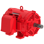 02536OP3EFP256T-W40 WEG 25HP Fire Pump Electric Motor, 3600RPM