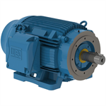 03009ST3QIE364TC-W22 WEG 30HP Severe Duty Electric Motor, 900RPM