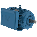 00312ES1E215T-W22 WEG 3HP Electric Motor, 1200RPM