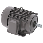 NP0056 Teco-Westinghouse 5HP Cast Iron Electric Motor, 1200 RPM