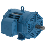 10036OT3E365TS-W40G WEG 100HP, General Purpose Electric Motor, 3600RPM