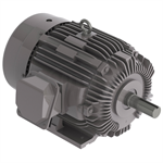 NP0254 25 HP Teco-Westinghouse Cast Iron Electric Motor, 1800 RPM