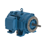 06012OT3E404JP-W40 WEG 60HP JP Close-Coupled Pump Electric Motor, 1200RPM