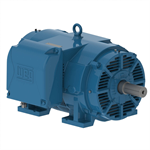 30012OT3G447/9T-W40 WEG 300HP General Purpose Electric Motor, 1200RPM