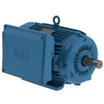 01218ES1E215T-W22 WEG 12.5HP Electric Motor, 1800RPM