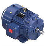 GT1025A Marathon 20HP Globetrotter Electric Motor, 1800RPM