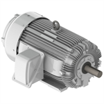 EP25065 Teco-Westinghous 250 HP Cast Iron Electric Motor, 1200 RPM