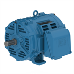 03036OT3H284TSF2-W40 WEG 30HP, General Purpose Electric Motor, 3600RPM