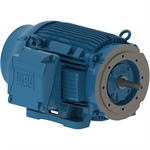 10018ET3G405JM-W22 WEG 100HP JM Close Coupled Pump Electric Motor, 1800RPM