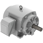 DHP2004 Teco-Westinghouse 200HP Cast Iron Electric Motor, 1800 RPM