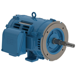 03018OT3V286JP-W40 WEG 30HP JP Close-Coupled Pump Electric Motor, 1800RPM