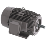 NP0306C 30 HP Teco-Westinghouse Cast Iron Electric Motor, 1200 RPM