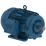 01536ET3E215T-W22 WEG 15HP General Purpose Electric Motor, 3600 RPM