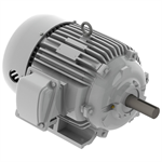 EP7/565 Teco-Westinghous 7.5 HP Cast Iron Electric Motor, 1200 RPM