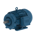 00418ET3Y112M-W22 WEG 5.5HP TRU-Metric Electric Motor, 1800RPM