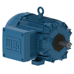 01018XT3E215T WEG 10HP Explosion Proof Electric Motor, 1800 RPM